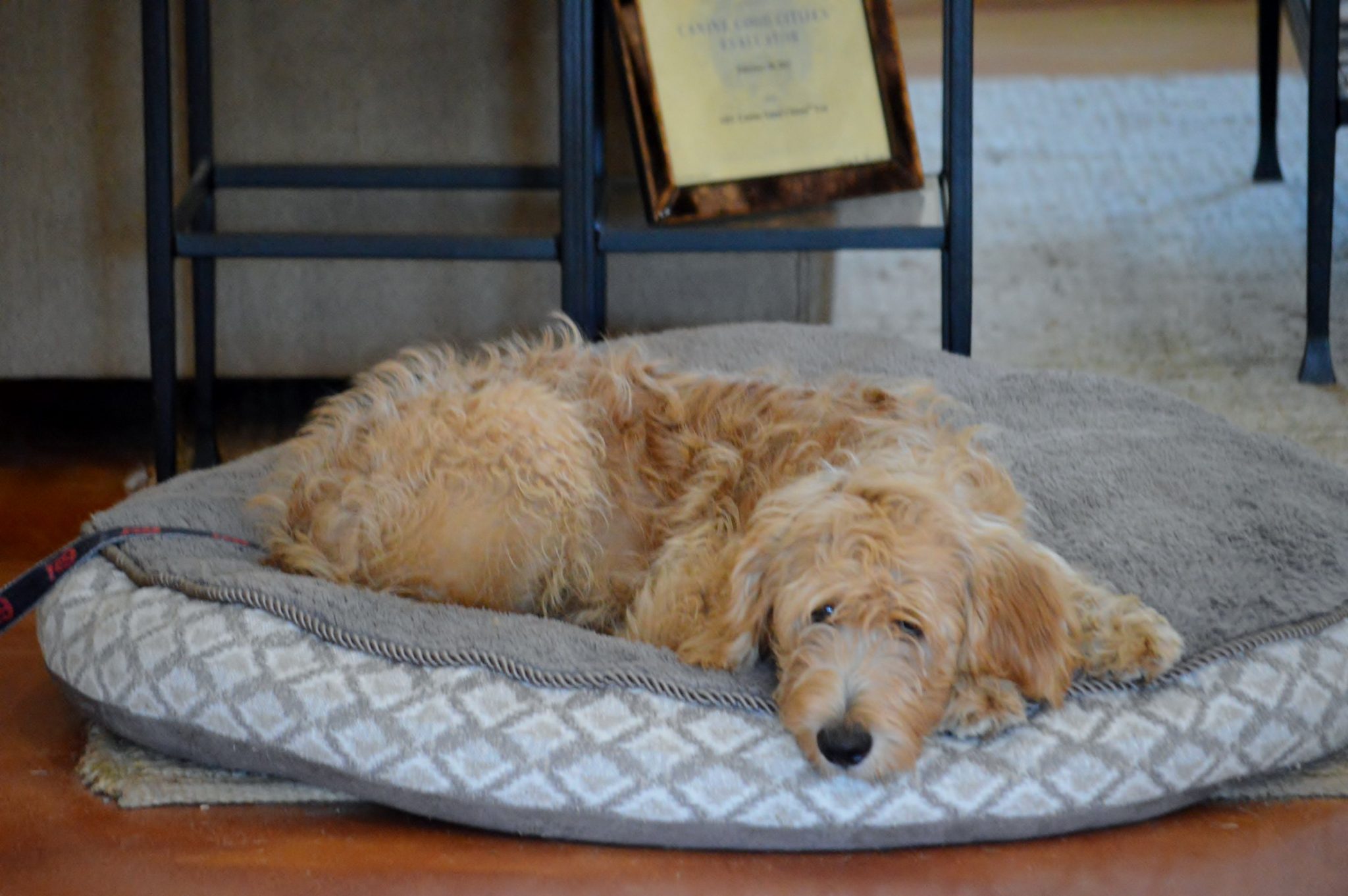 Teaching the “Place” command