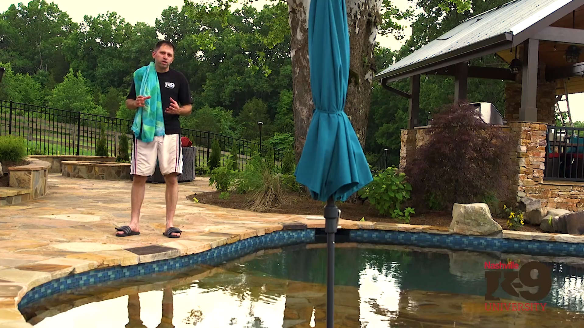 Introducing your dog to swimming – The swimming pool