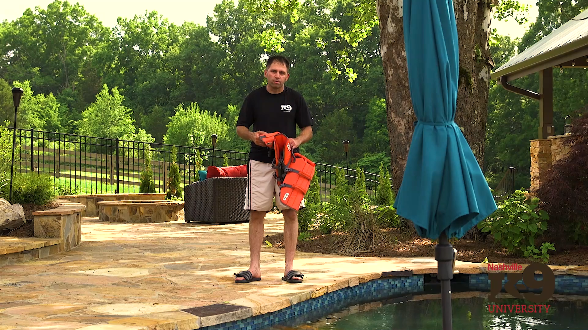 Introducing your dog to swimming-The use of life jackets