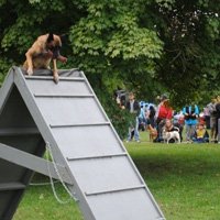 How to climb the A-Frame