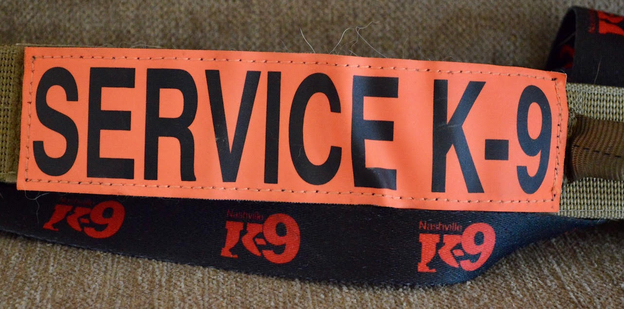 Can my dog be a service dog?