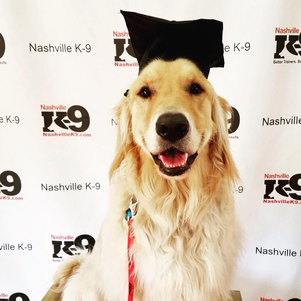 Seeking a Behaviorist