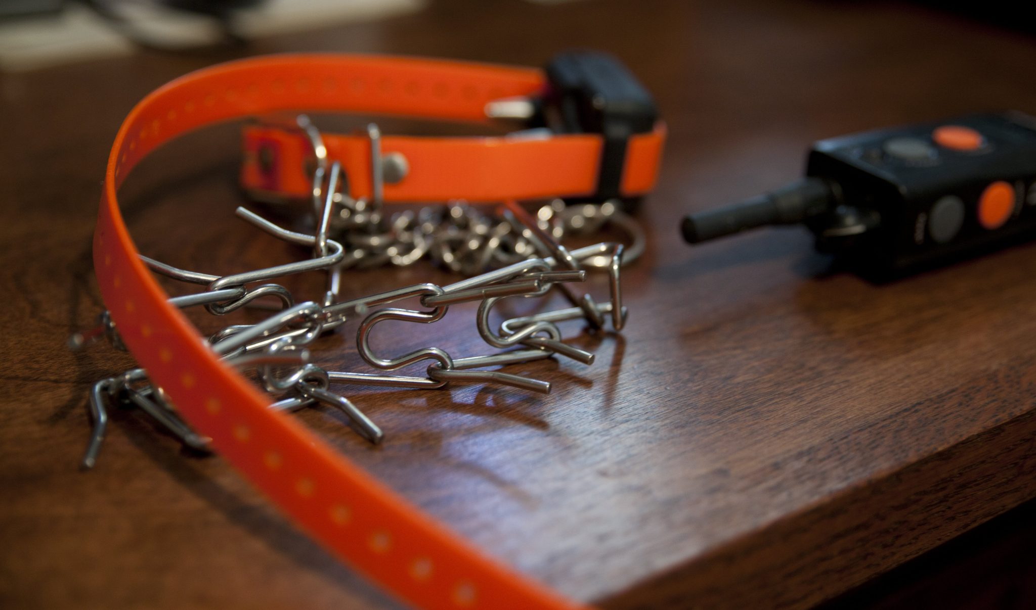 Dog collars overview