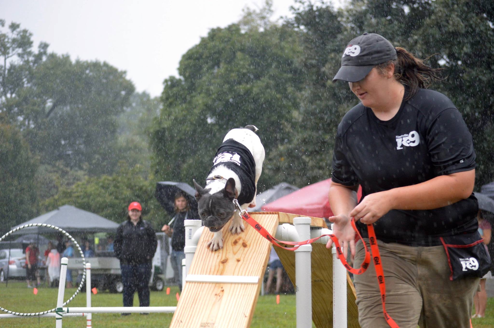 Environmental training: why it’s so important