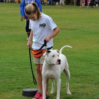 Understanding Extinction