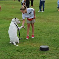 Applying Extinction to a dog