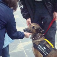 Using the pinch collar to give a correction